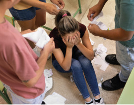 Alunos que sofrem bullying têm pior desempenho em prova internacional
