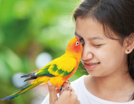 Com celulares, estudantes produzem guia de identificação de aves da caatinga