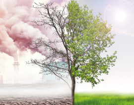 Qual é o seu papel na crise climática? Curso gratuito ajuda jovens a refletir e agir